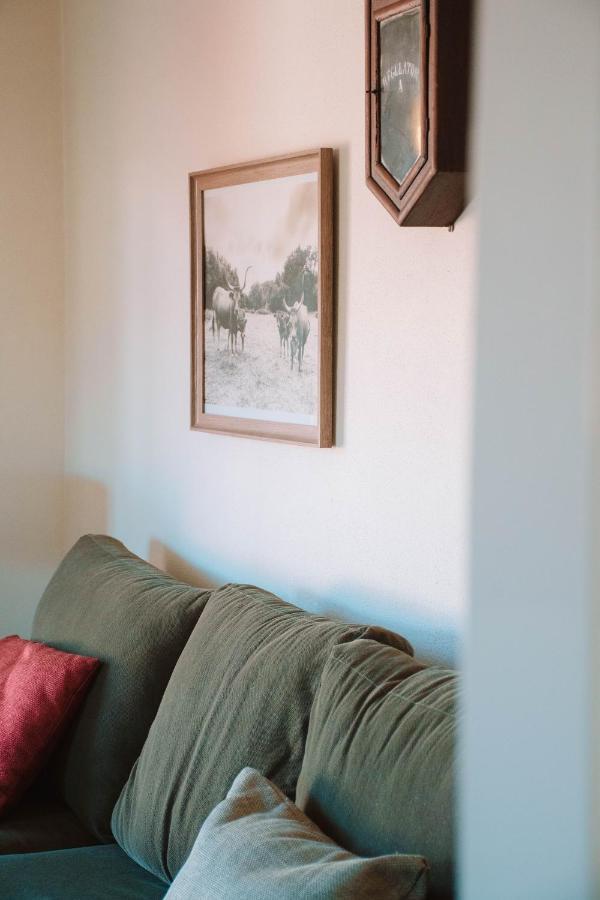Just Like Home - Casa Antonio Em Paredes De Coura Luaran gambar
